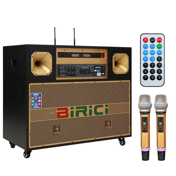 Loa điện Karaoke Birici MX-700 4
